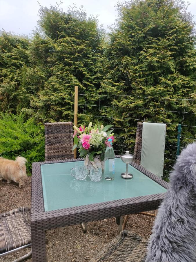 Apartament Deich Karolinenkoog Zewnętrze zdjęcie