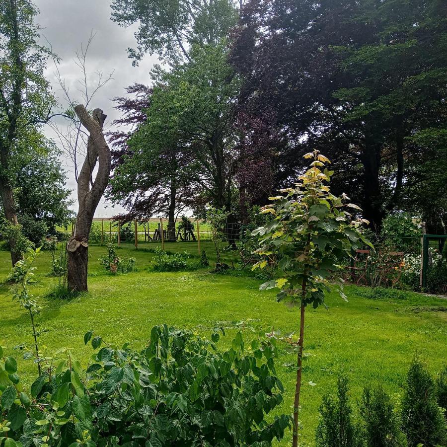 Apartament Deich Karolinenkoog Zewnętrze zdjęcie